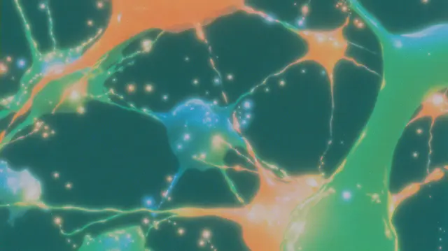 Neural Tides Rising
