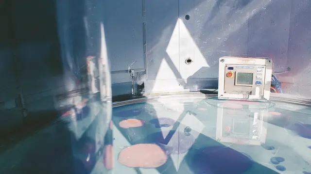 Laboratory Dreams In Mist