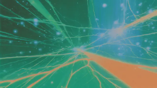 Neural Dawn