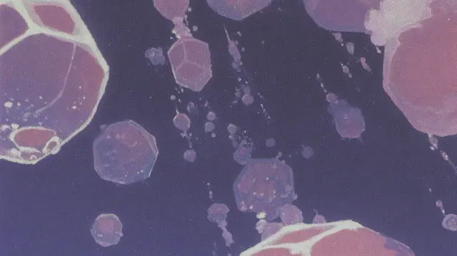 Cosmic Marrow Dreams