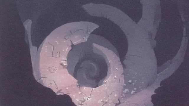 Marrow Spiral Dreams