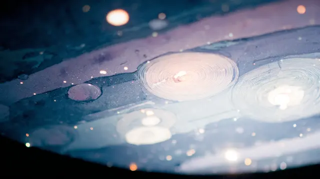 Lunar Petri Dreams