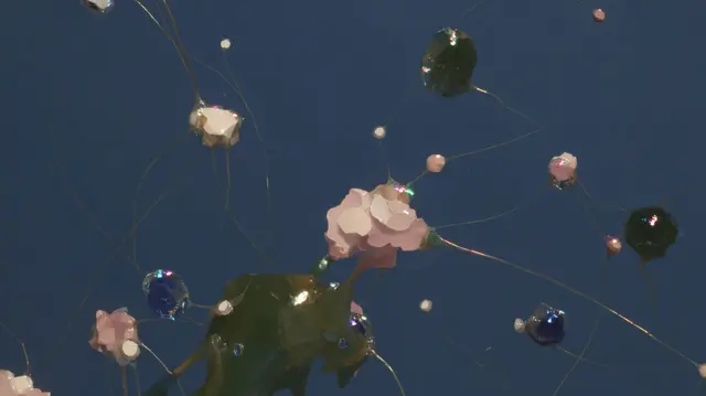 Neural Garden Dissolves