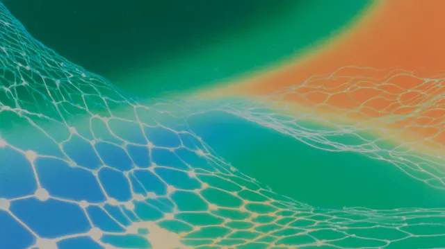 Neural Webs Dreaming