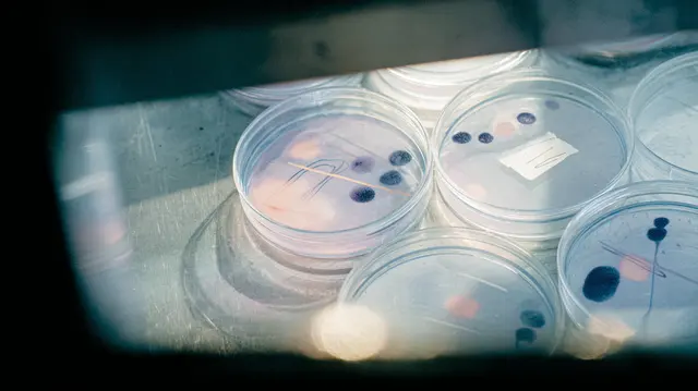 Lunar Bacteria Dreams