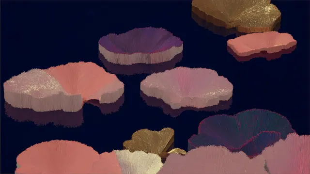 Coral Dreams Beneath