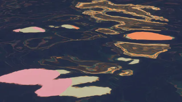 Summer Dissolves Into Oil