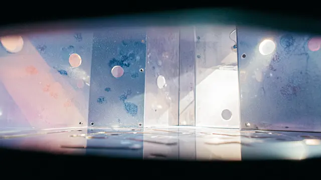 Quantum Petri Dreams